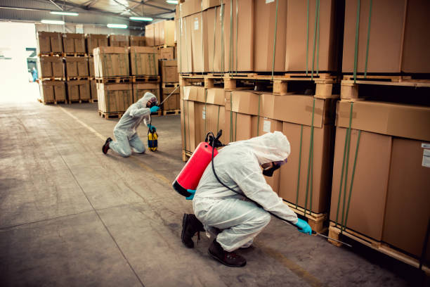 Best Pest Removal Services  in Springdale, PA