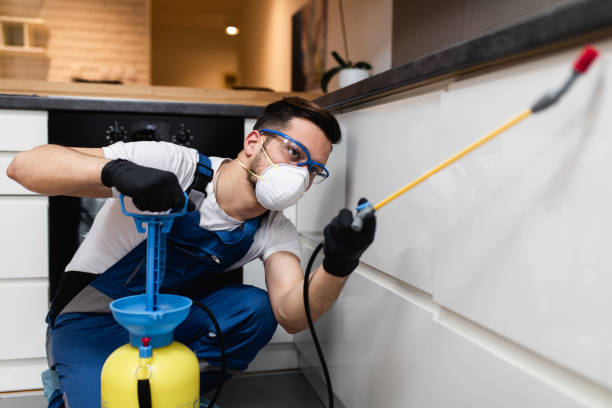 Best Termite Control Services  in Springdale, PA
