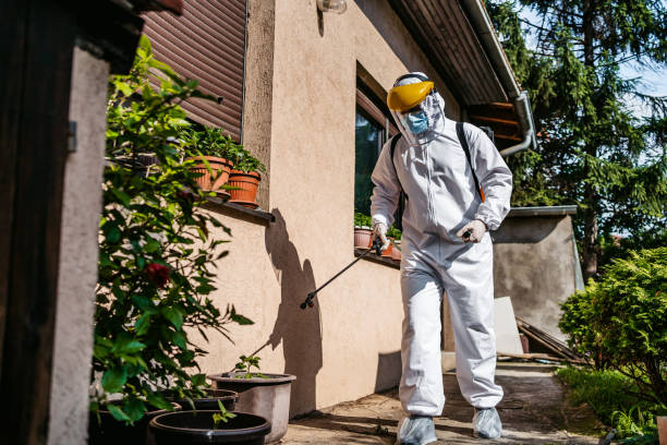Best Wildlife Control Services  in Springdale, PA