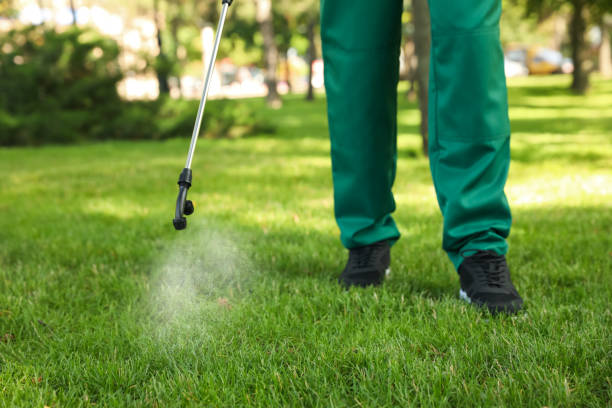 Wasp Removal Services in Springdale, PA