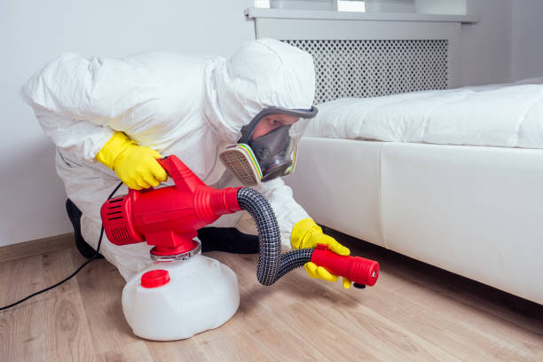 Wildlife Control Services in Springdale, PA
