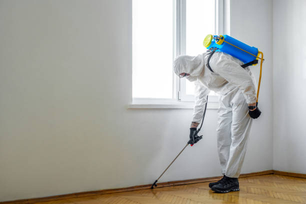 Best Emergency Pest Control  in Springdale, PA
