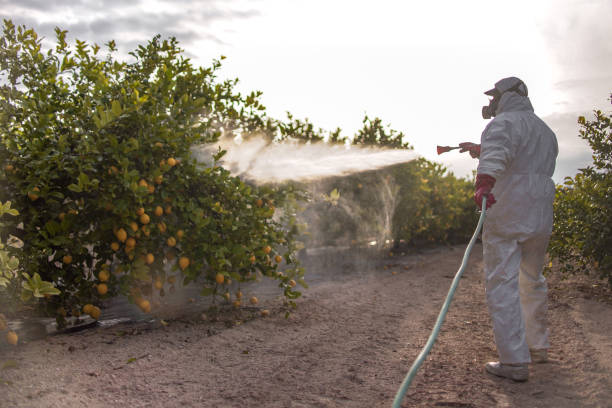 Best Bed Bug Extermination  in Springdale, PA