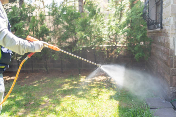 Best Best Pest Control Companies  in Springdale, PA