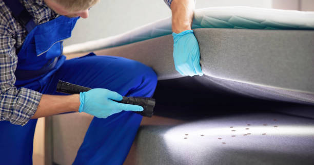 Best Affordable Pest Control Services  in Springdale, PA