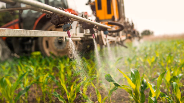 Best Mosquito Control Services  in Springdale, PA