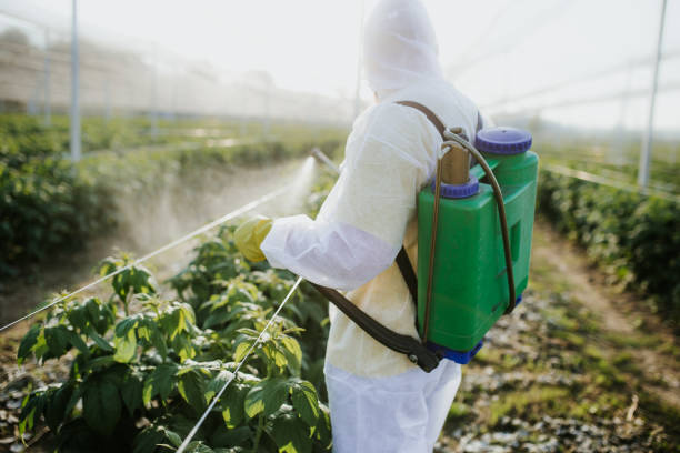Best Wildlife Control Services  in Springdale, PA